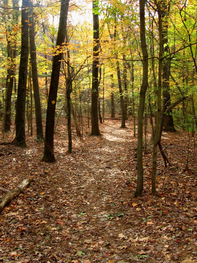 Scantic River Linear Park Trail