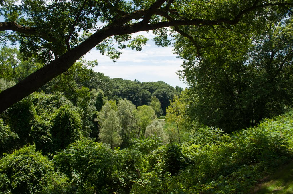 Nature Scenery of Forest Park, Springfield, Massachusetts