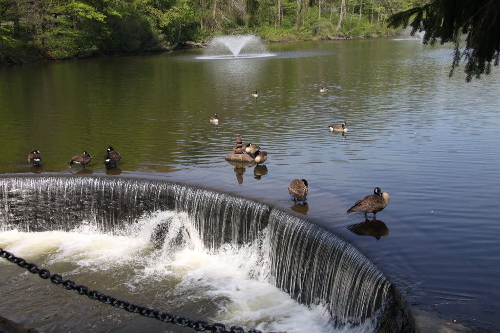 Forest Park in Springfield