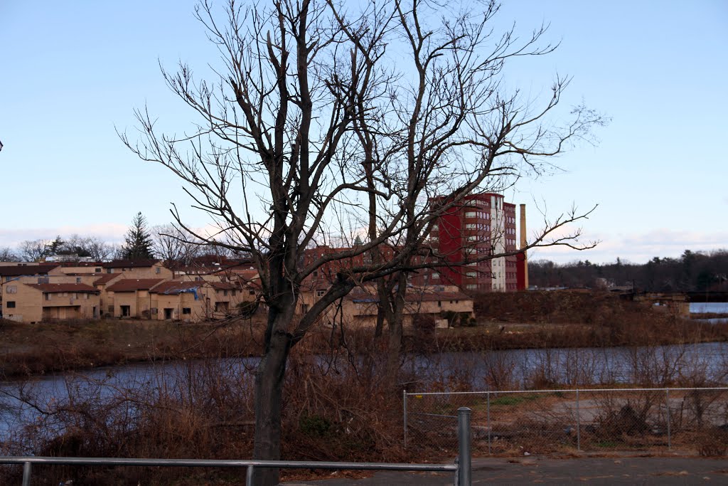 Tornado damaged apartments behind Springfield College