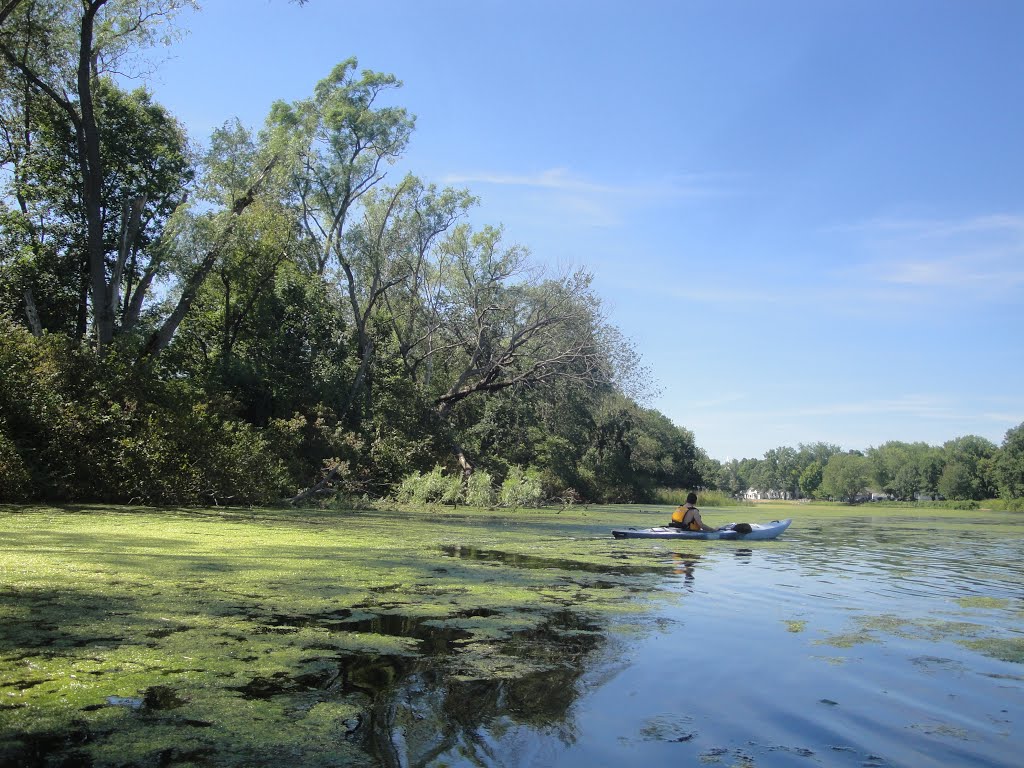 Somersville pond dam area