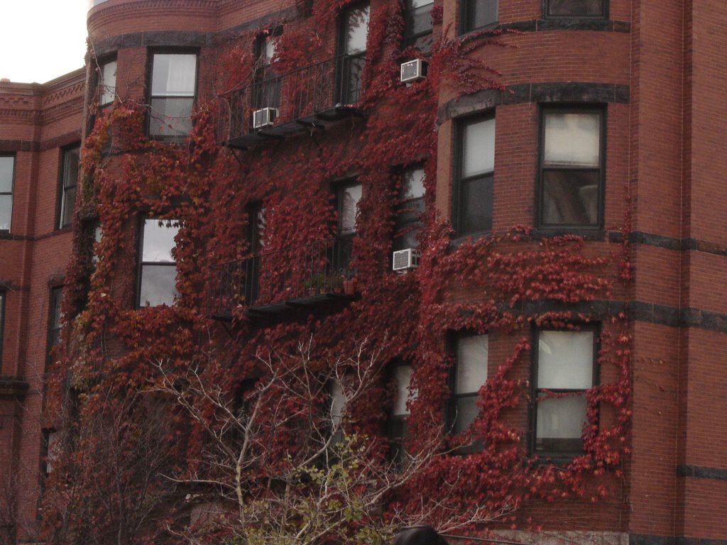 Back Bay - novembro de 2007