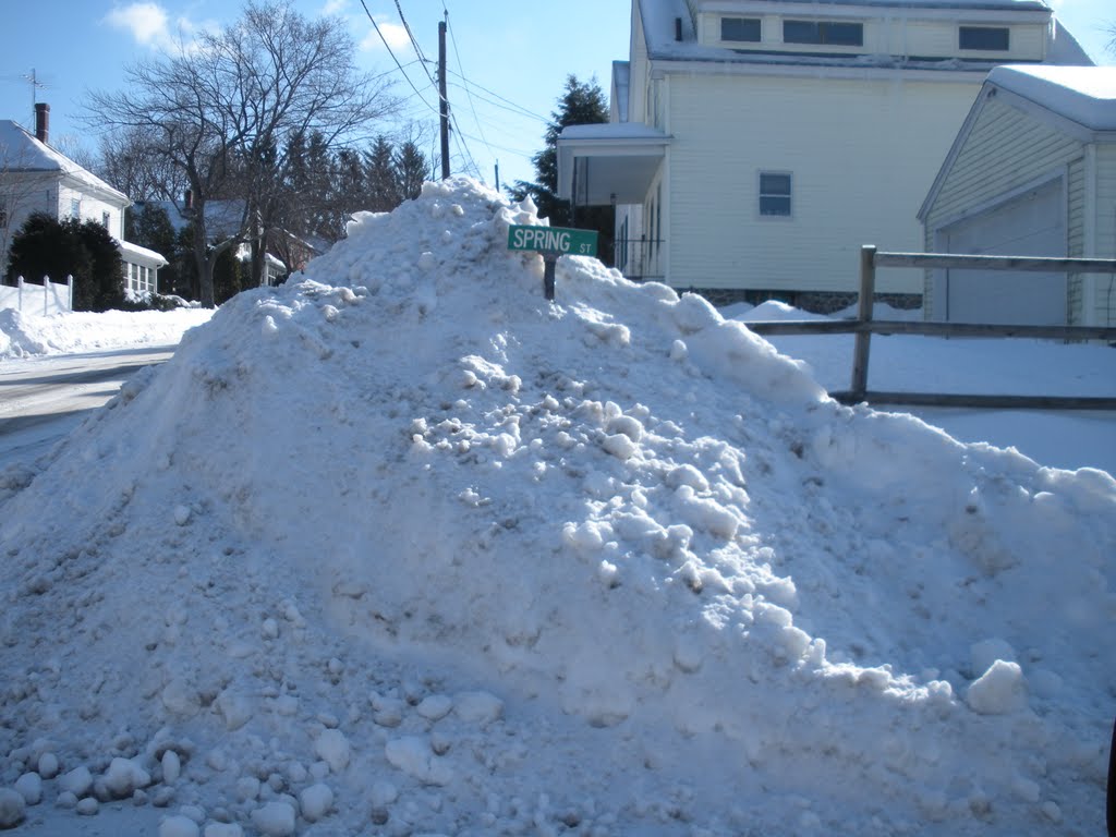 Winter Time On Spring Street