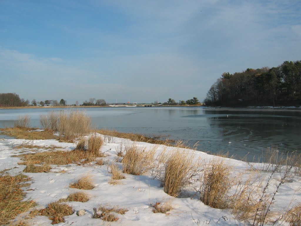 Snowy Marsh in Quincy MA