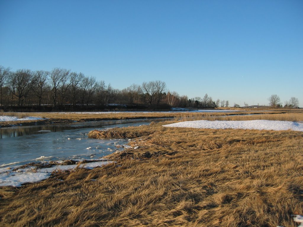 Salt Marsh at Blacks Creek, off Wollaston Beach