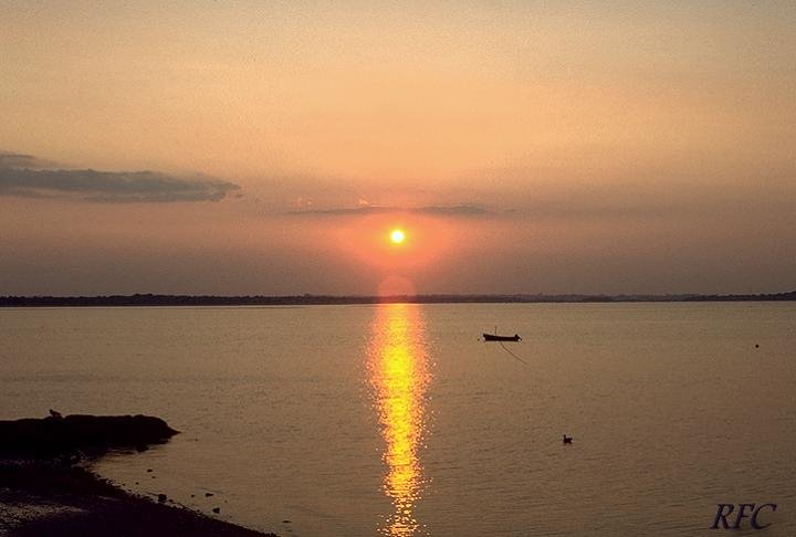 Wollaston Sunset