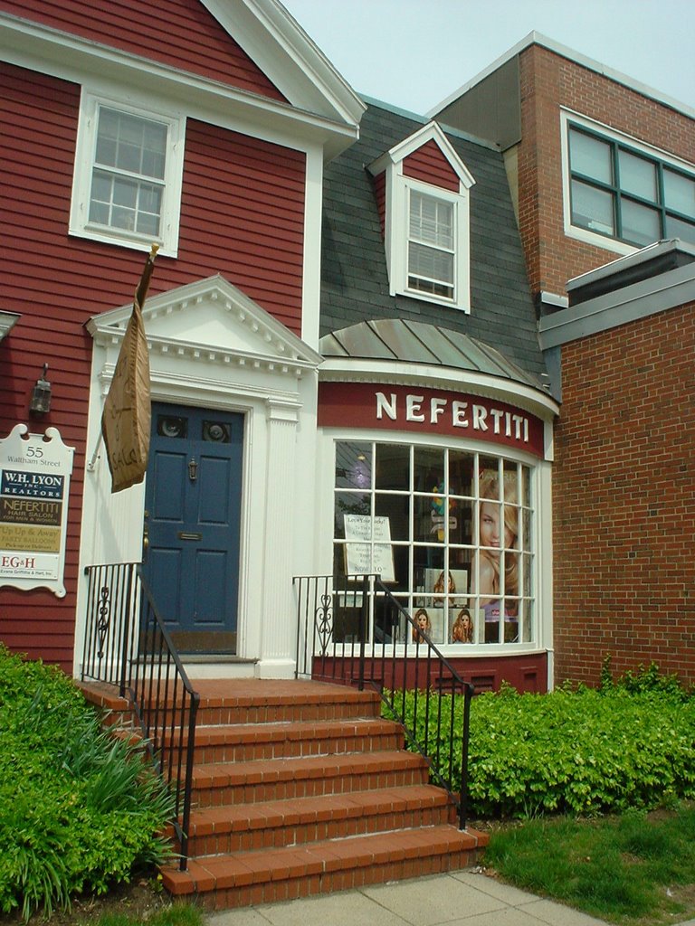 Nefertiti Hair Salon - Lexington, MA