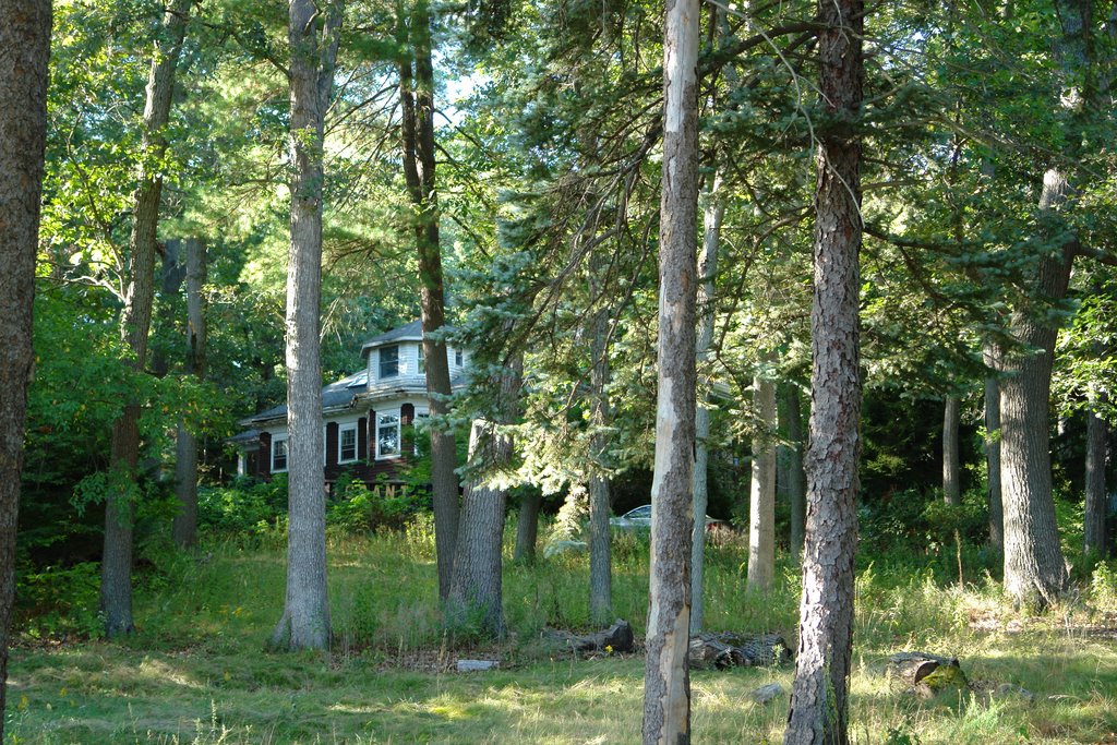 Old Estate - Marrett Road - Lexington, MA