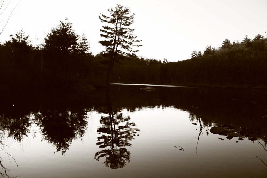 South Ashburnham