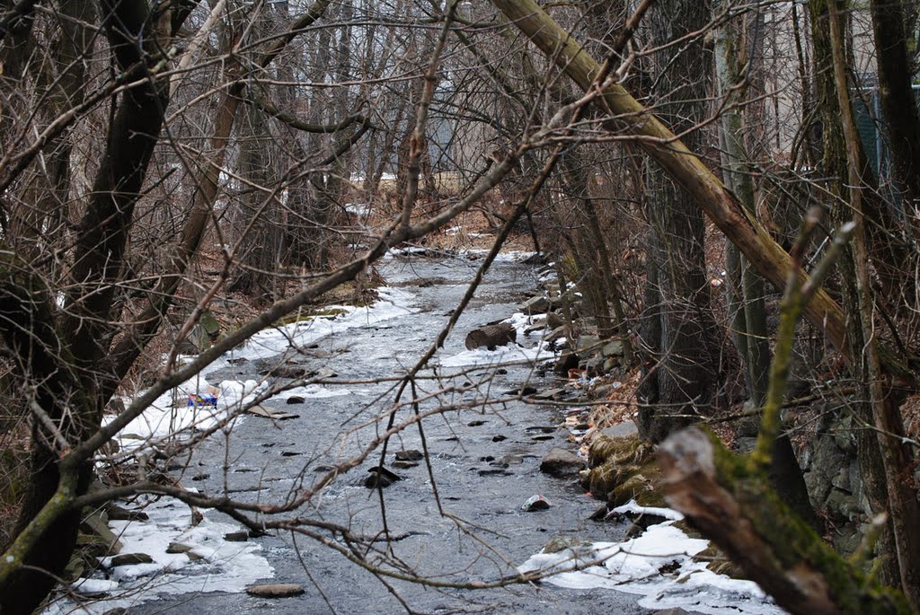 Monoosnoc Brook Greenway