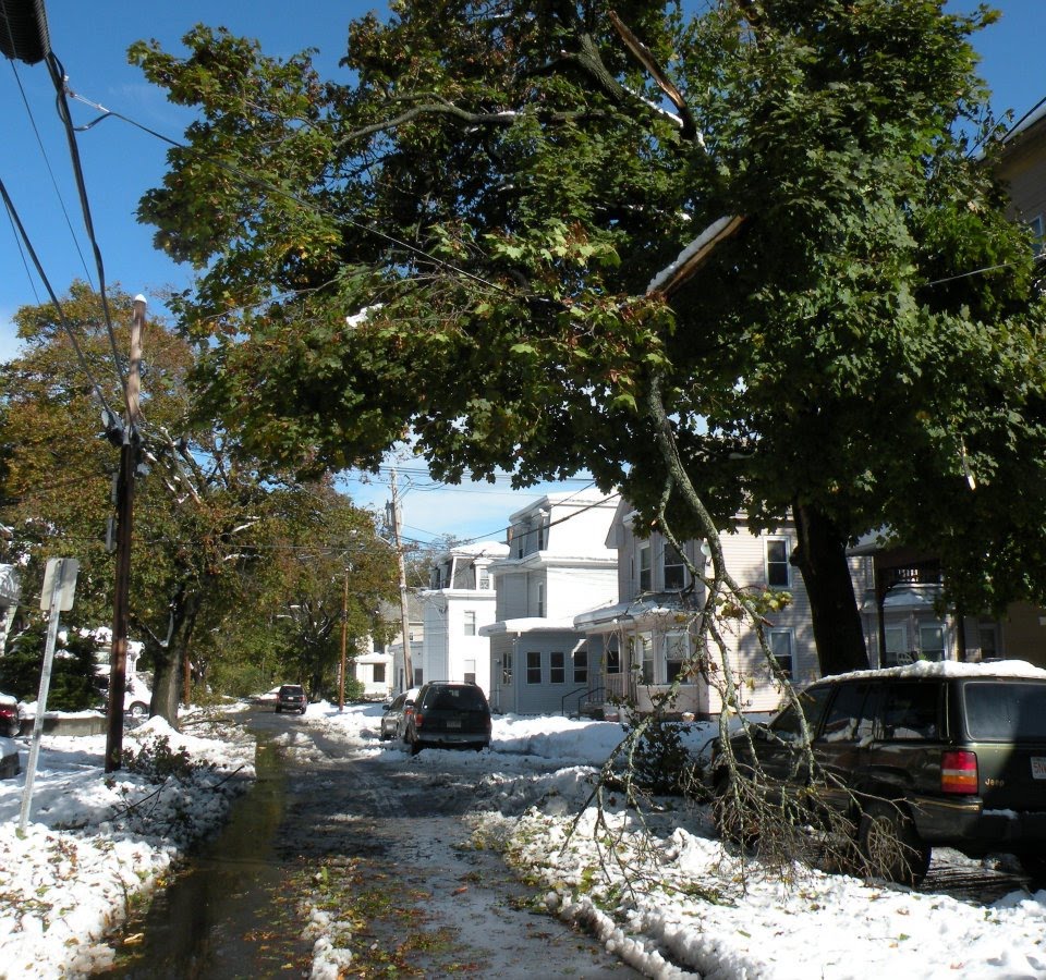 Church Street; Damage from Oct 2011 Freak Snow Storm