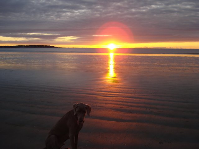 Sunrise with best friend.