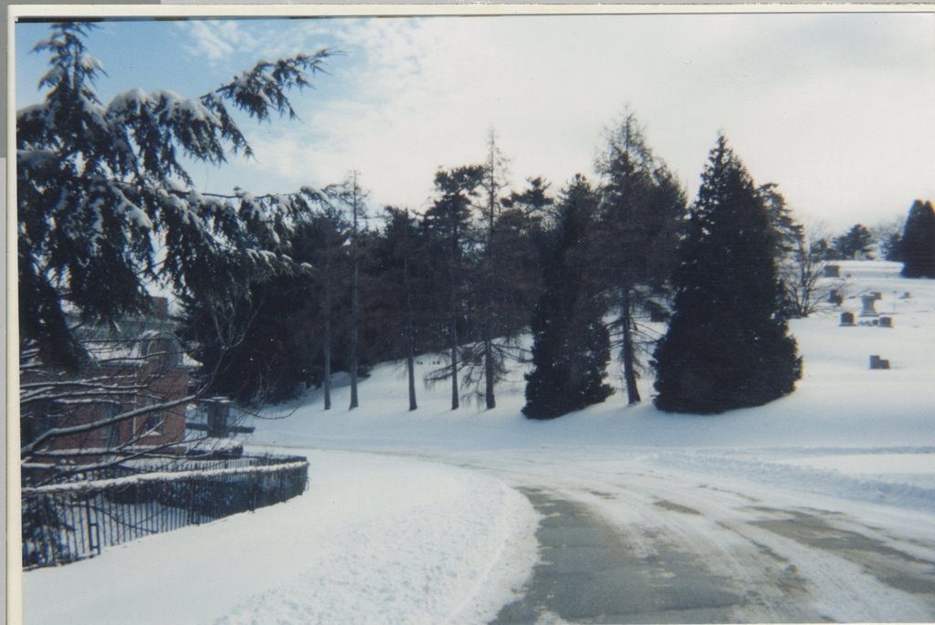 pine grove cemetary, lynn, ma