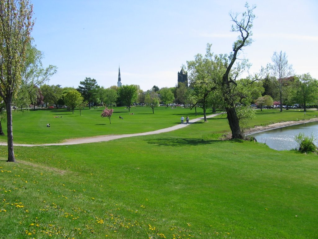 looking at a big park....