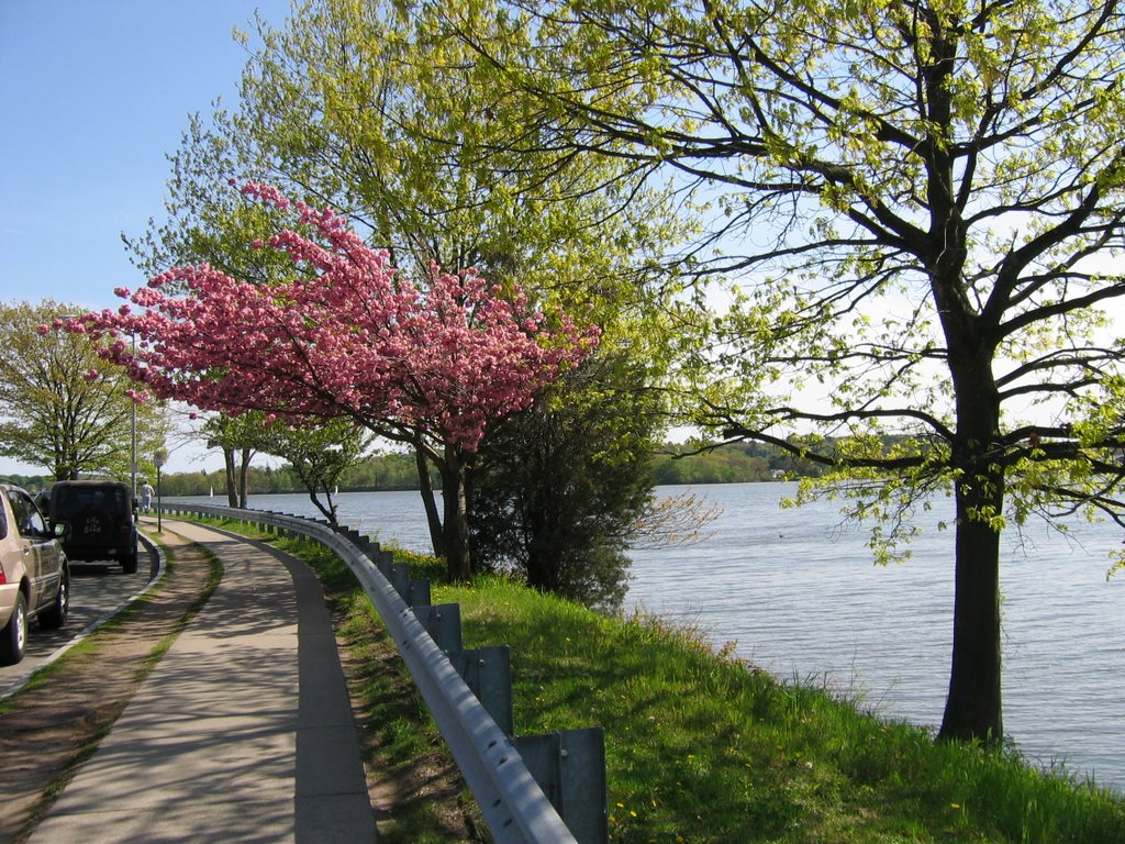 walking with  a lake view...!!!