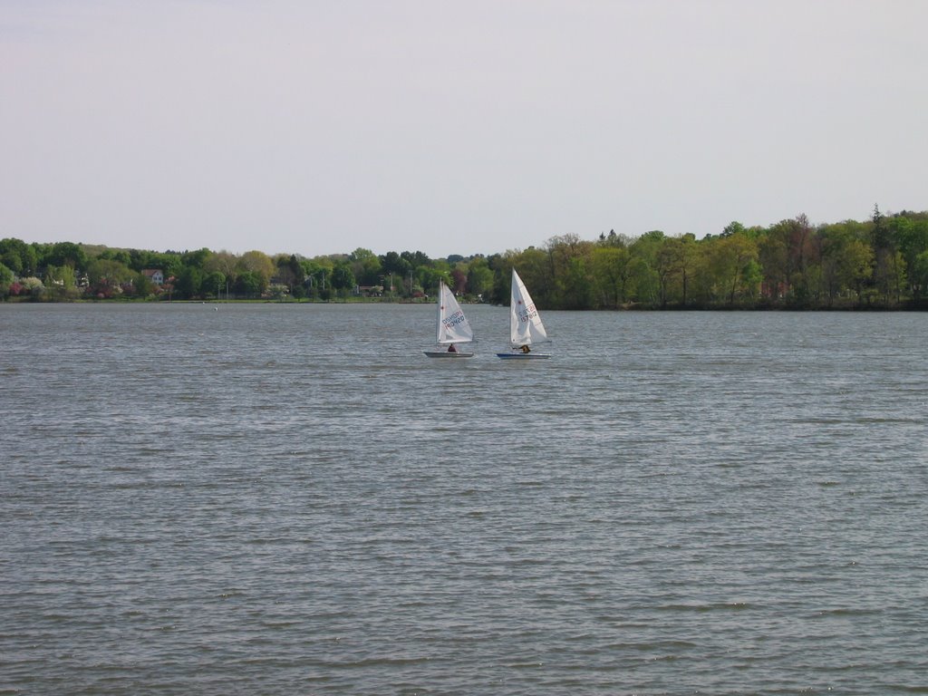 sailing in the lake..