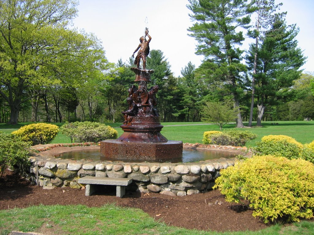 the park nearby my neighborhood