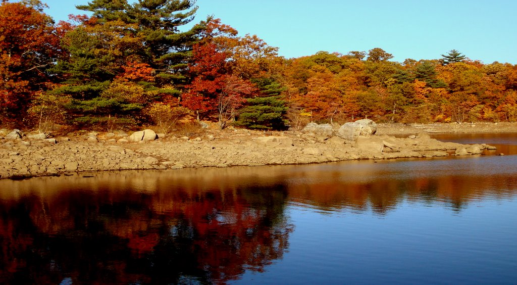 Colors, Colors, Colors