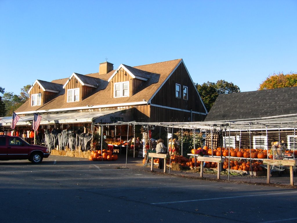 Pumpkins, halloween time