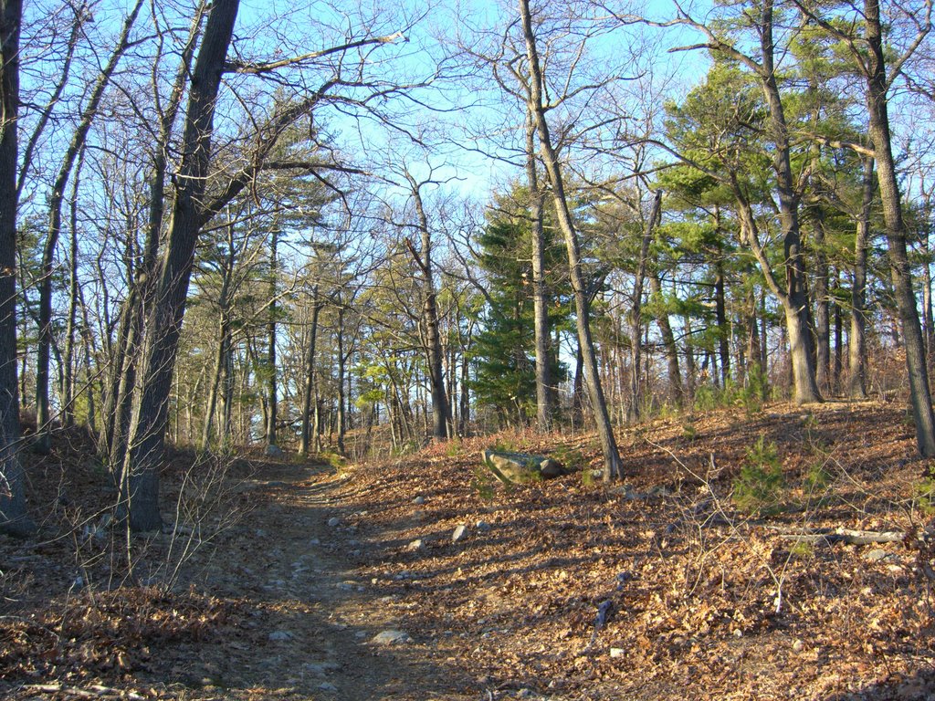 Trail in Lynn Woods