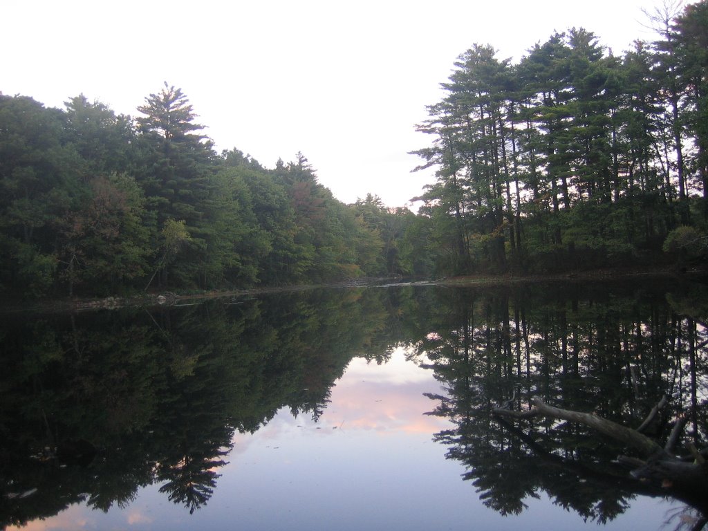 Harold Parker State Forest