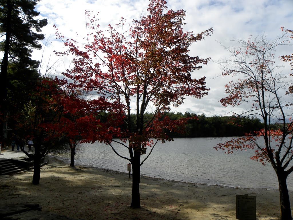 Walden Pond, Ma