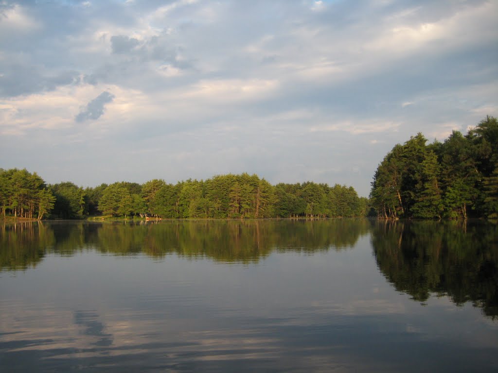 Field Pond Reflections
