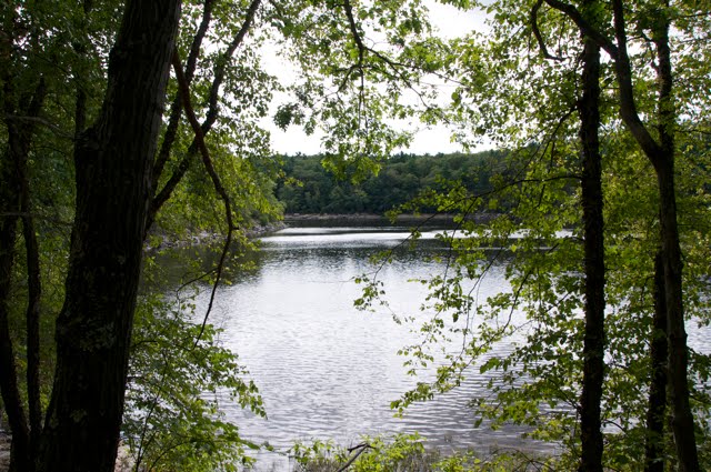 Lynn Woods Reservation
