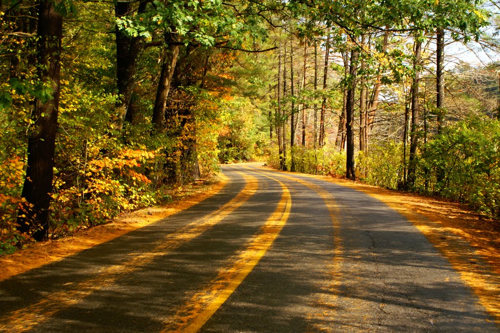 Golden Road