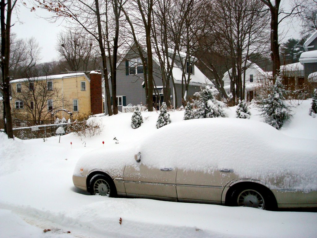 Car under snow