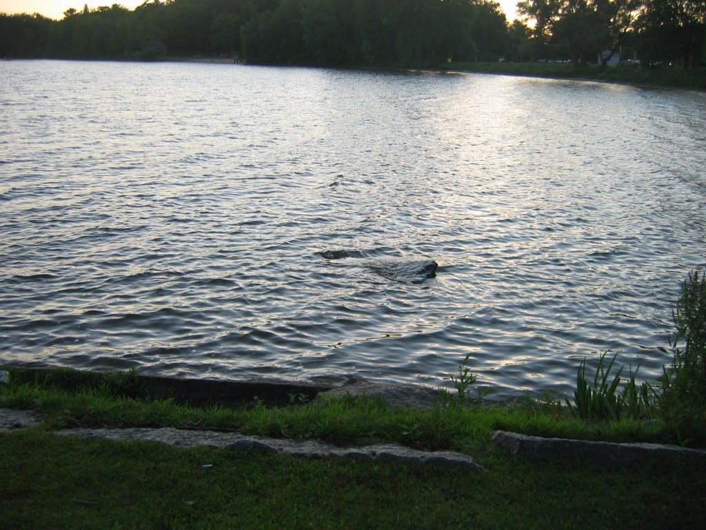 lake in Massachusetts