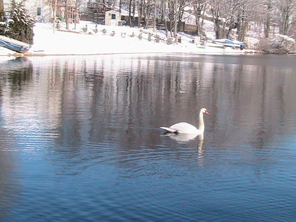 Whitmans Pond, East Weymouth, MA