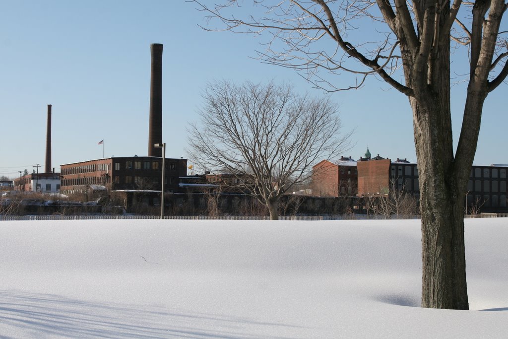 Cold Morning
