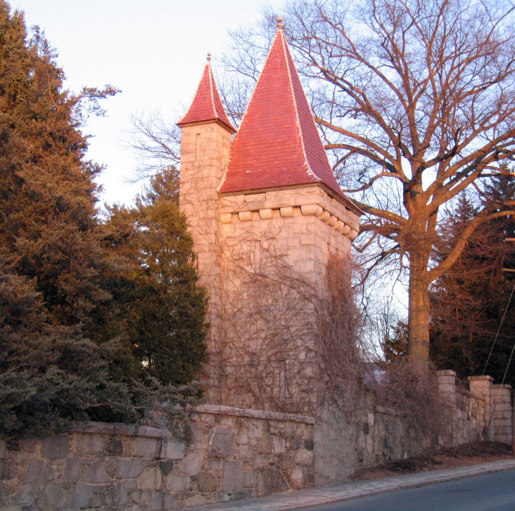Double Towers