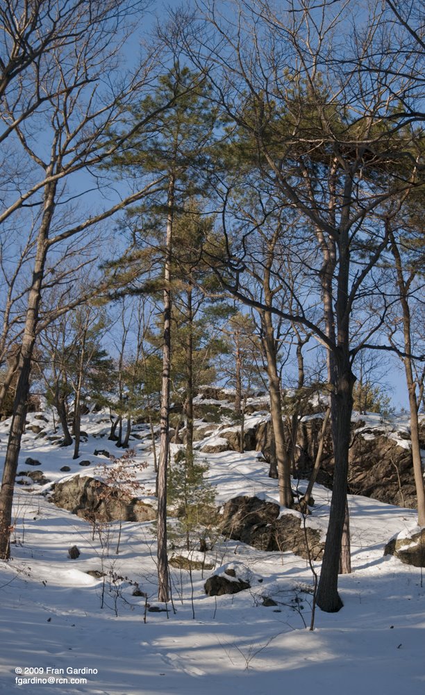 Pine Banks Park with Snowy Hill