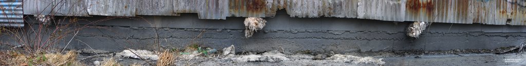 Tin Building with Insulation Fluff