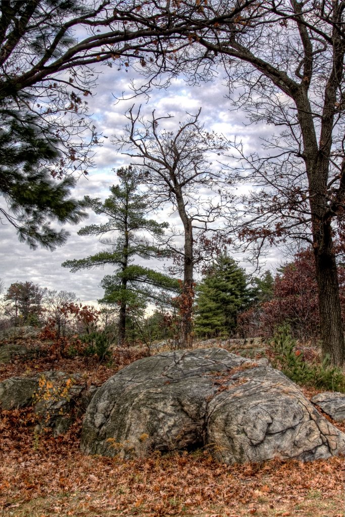 Middlesex Fells Reservation 4
