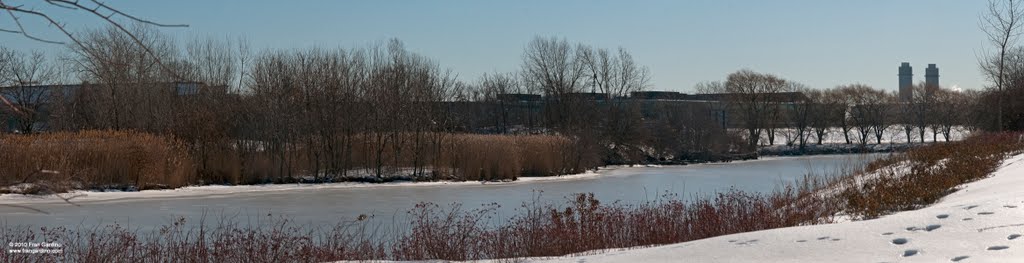 Everett Twin Towers view from Malden River