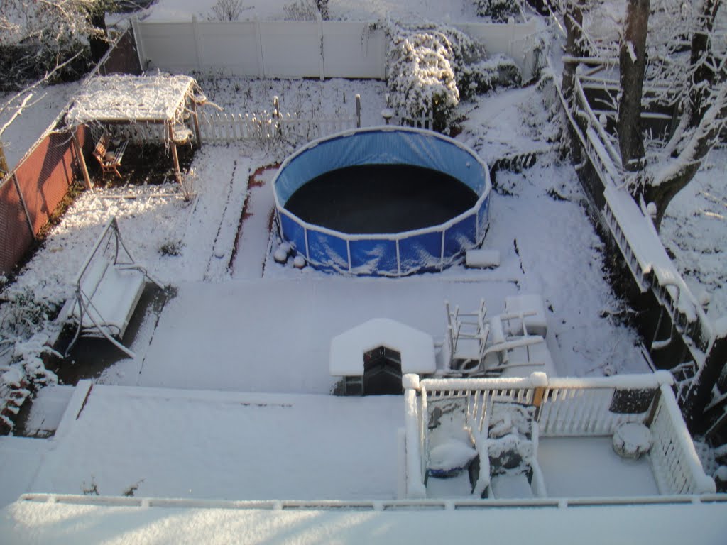 Quintal com neve