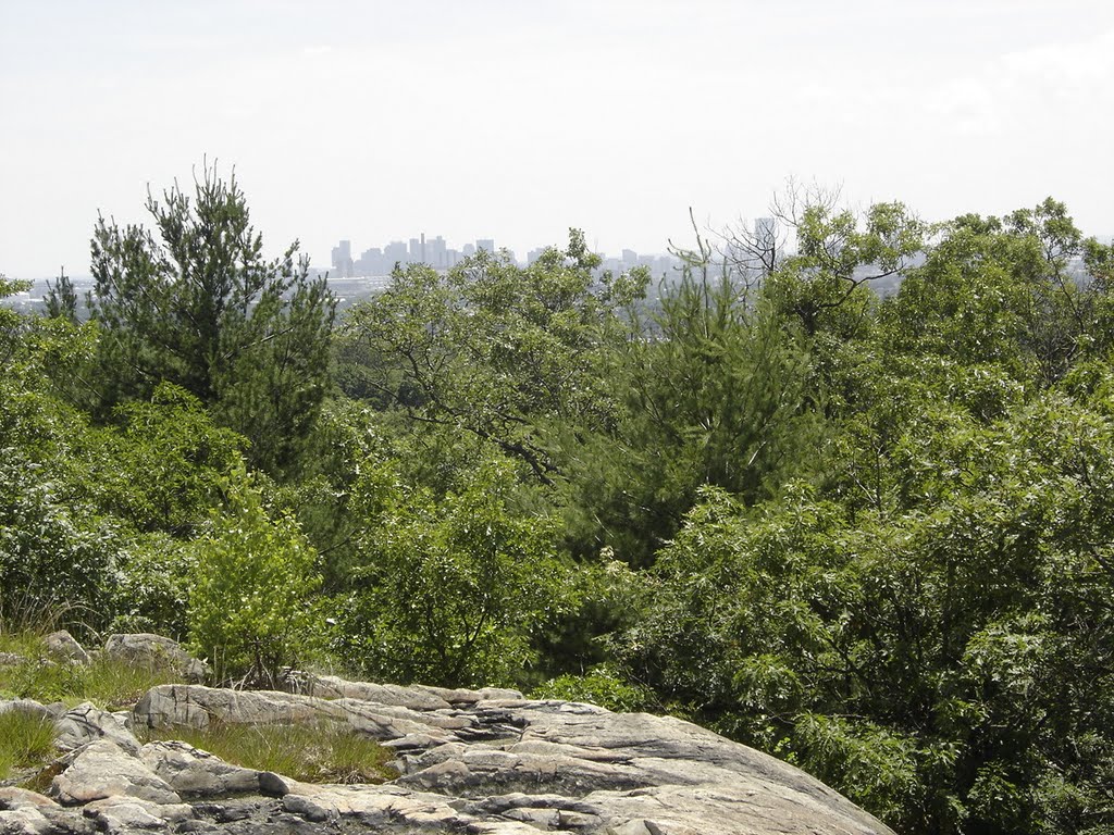Rock Circuit Trail, Eastern Middlesex Fells
