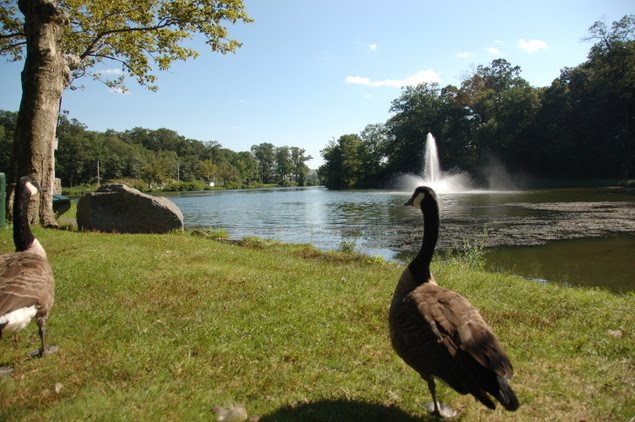 FELLMERE POND MALDEN MA