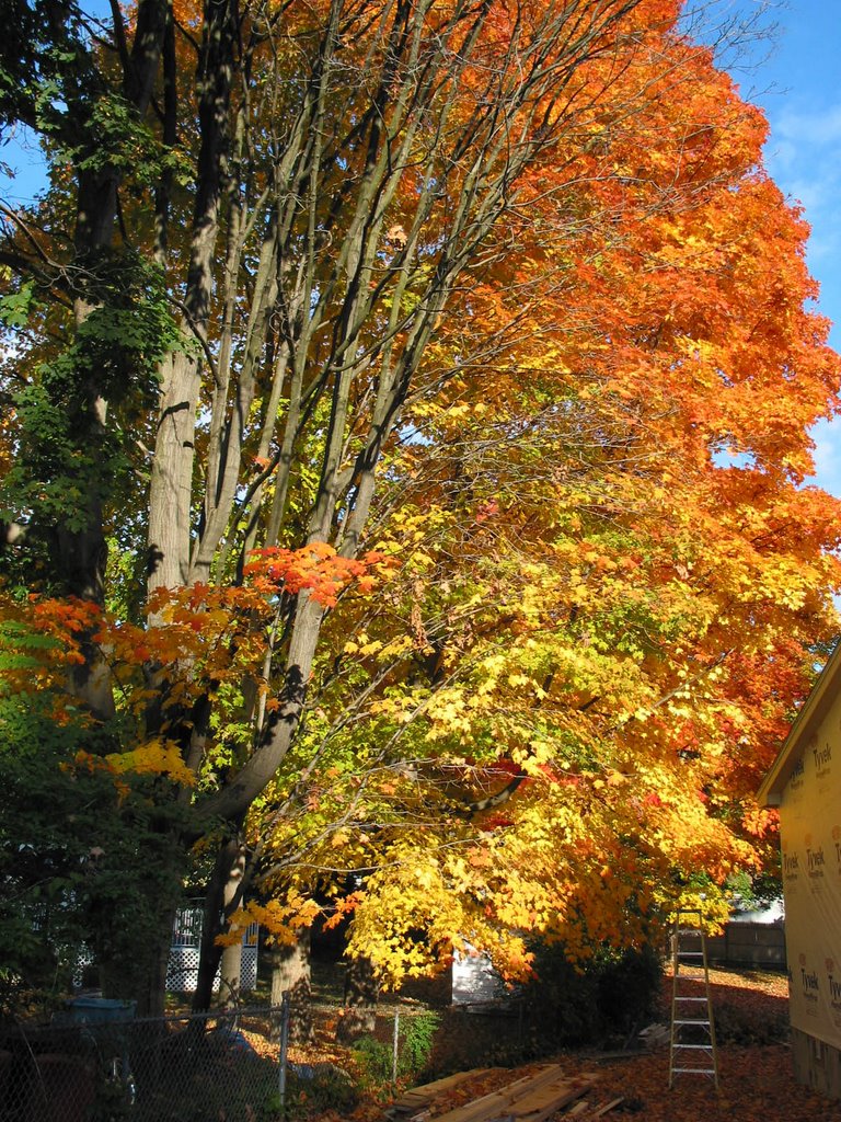 Autumn Season in New England