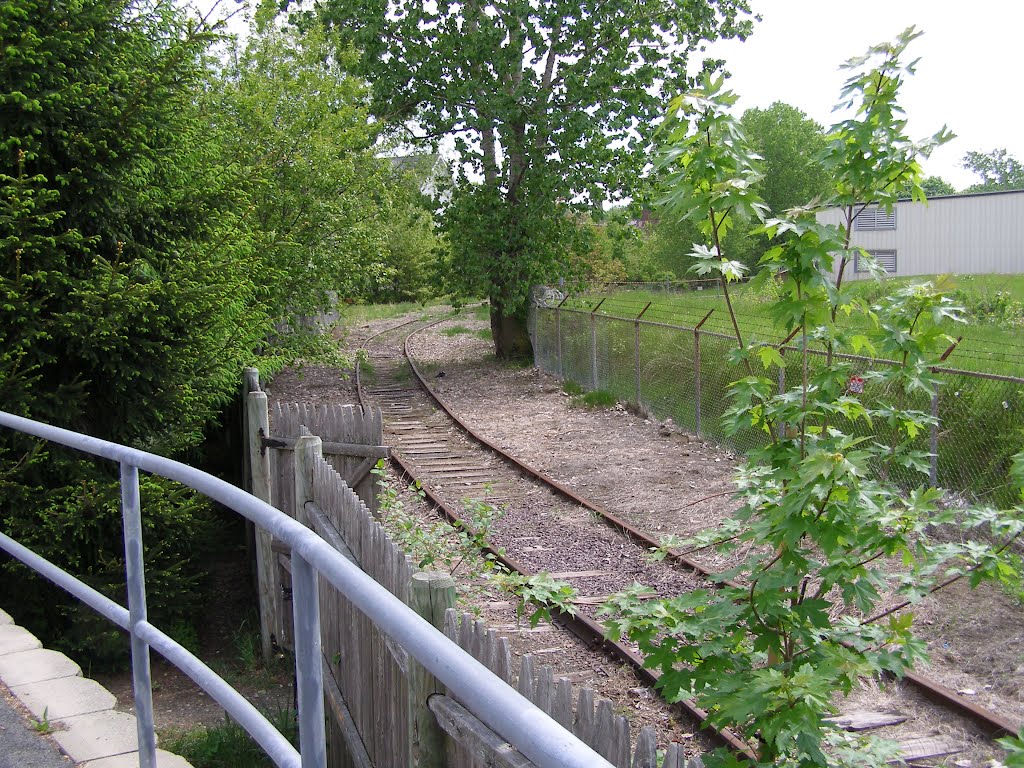 Remnants of Medford Branch Railroad Commercial Spur Track.