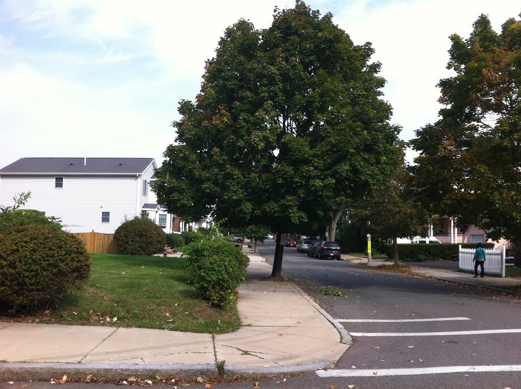 Elm Street Residential