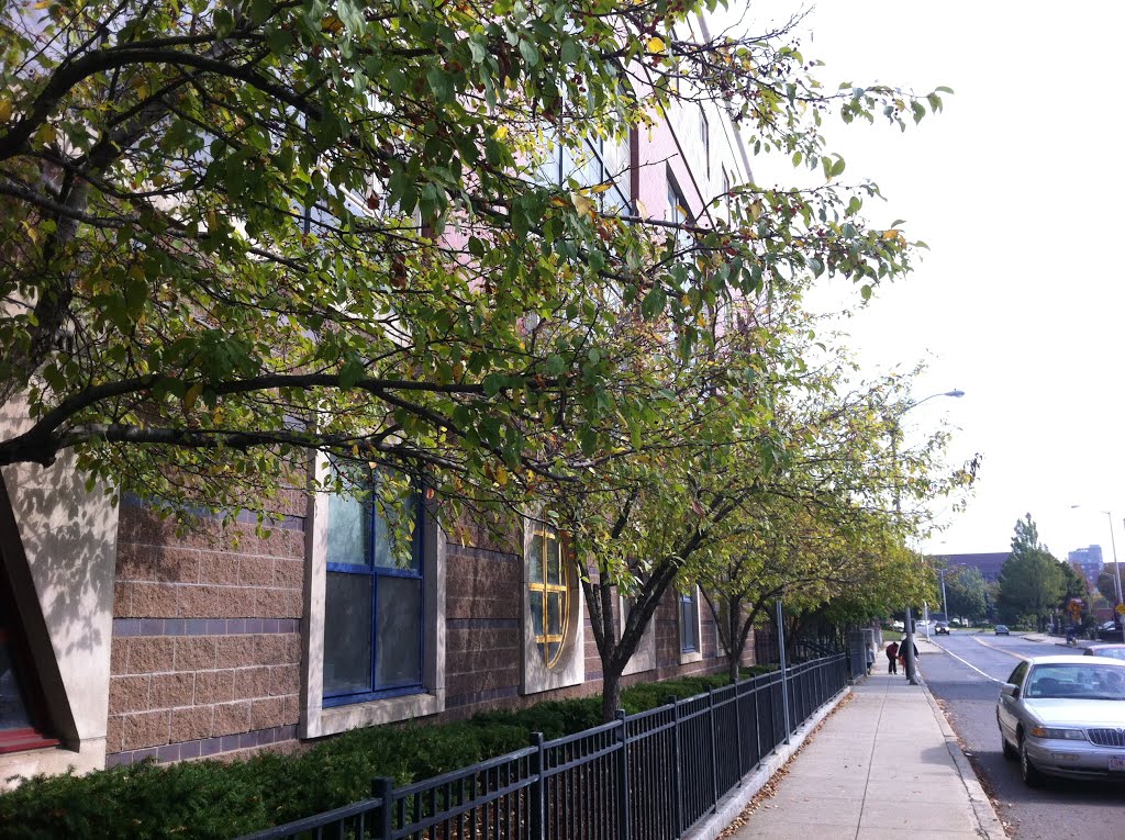 Beebe School