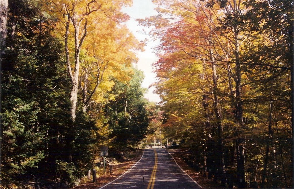 Foliage