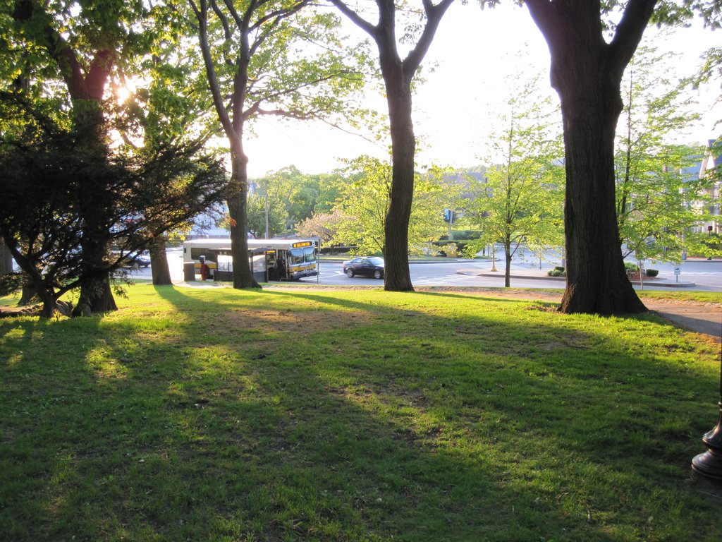Nathan Tufts Park
