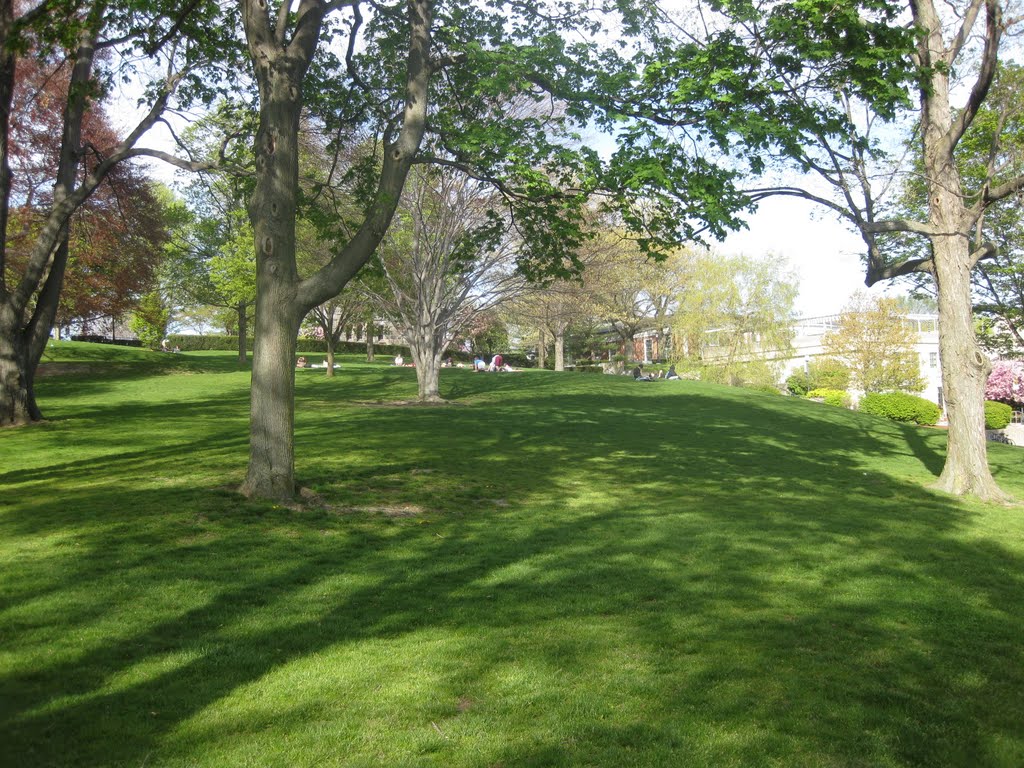 Tufts University