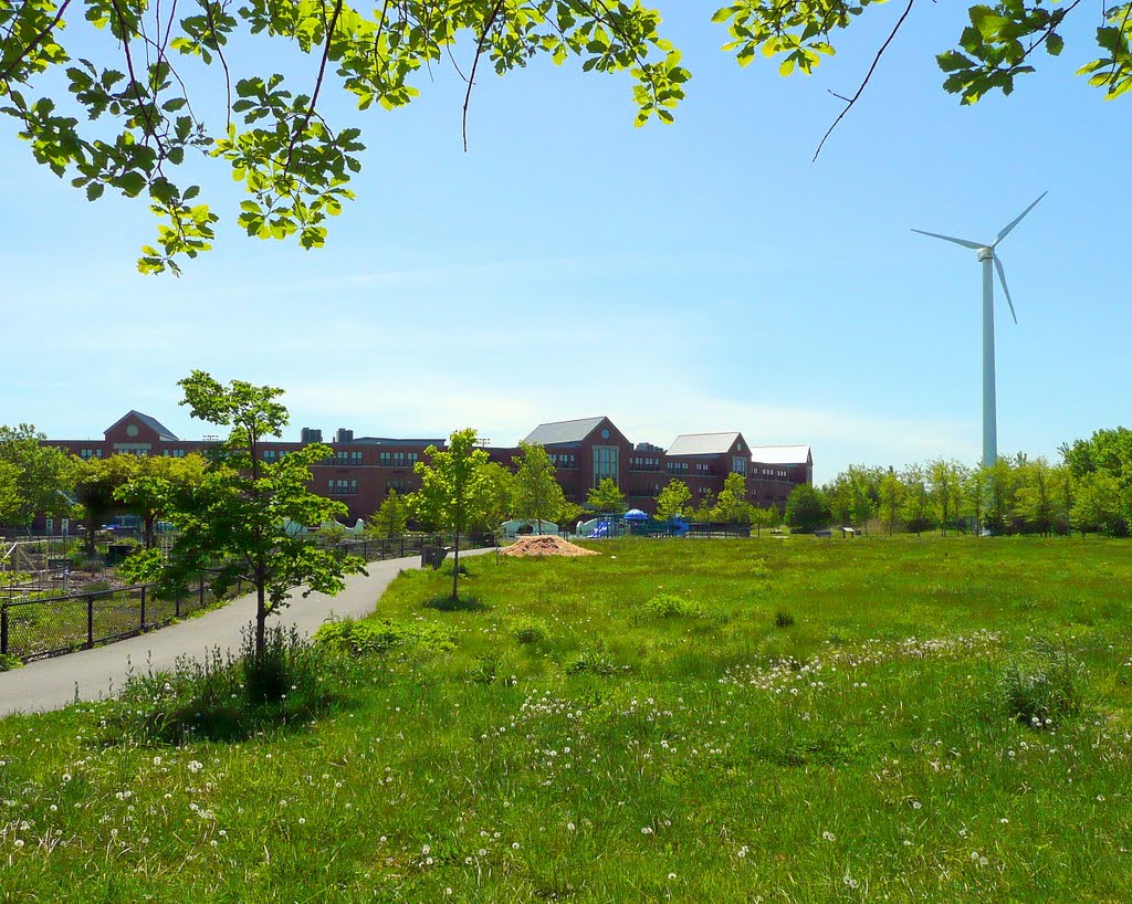 Wind Power McGlynn Jr. High School