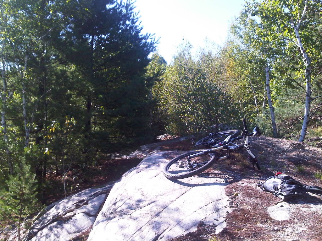 Rock Outcrop just off Middle Road